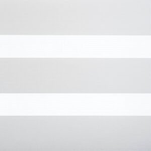 BH-RL1101 diena/nakts