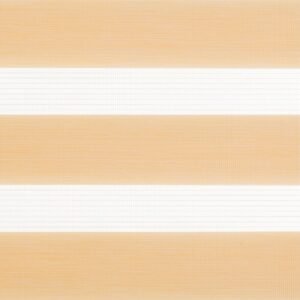 Varavīksne 3008 diena nakts